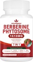 Phytosome berbère 7-en-1 avec cannelle Ceylan, complexe berbère soutient le métabolisme, la fonction hépatique et le système immunitaire, non-OGM, sans gluten - 60 capsules