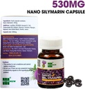 Nano Silymarin - 60 Capsules - Liver Health Support and Stabilize Liver Cell - Nano Technology Increases Absorption Up to 99.9%