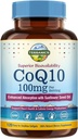 Terranics CoQ10 100mg, 120 Softgels, Absorption with Extra Virgin Olive Oil, Heart Health & Energy Production