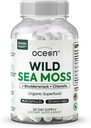 Organics Ocean Wild Sea Moss Capsules - 100% Organic Irish Sea Moss with Organic Chlorella, Bladderwrack and Vitamin D for Energy, Lung Health and Thyroid Support for Women and Men - 60 Capsules