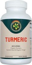 Carnivora Turmeric – Support for Joints and Digestive Health (90 Vegan Capsules)
