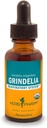 Herb Pharm Grindelia Liquid Extract for Respiratory System Support - 1 Ounce (DGRIND01)