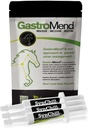 SynChill 3 Pack + GastroMend Bundle for Horses - Comprehensive Stomach Health & Behavioral Support, Aids in Gastric Ulcer Relief, Promotes Calmness & Focus, All Natural, Cost Effective