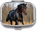 Pill Box Portable Pill Case for Pocket Horse on Lawn Travel Small Pill Organizer 2 Compartiment Metal Pill Container Holder for Medicine Vitamines Fish Oil Suppléments