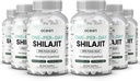Organics Ocean One-Per-Day Shilajit for Men and Women - Natural and Potent Shilajit Supplement for Age-Defying, Bone Strength, Hormone Support and More - 6 Bottles Shilajit Capsules