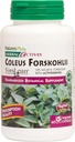 NaturesPlus Herbal Actives Coleus Forskohlii - 60 Vegetarian Capsules - Gluten Free - 60 Servings