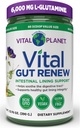 Vital Planet - Vital Gut Renew Powder Supplement for Leaky Gut Repair with L-Glutamine, Marshmallow and Ginger Root, DGL Licorice Root and Organic Aloe Vera, L Glutamine 6000mg 13.76 oz