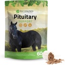 Silver Lining Herbs Pituitary Gland Supplements for Horses - Horse Supplements for Equine Metabolic Support, Cushing’s, Sweating & Shedding Issues - Mood & Energy Horse Supplement - 1 lb 60-Day Supply