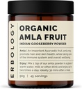 100% poudre d'amla biologique 3,2 oz - 45 portions - Gooseberry indien - Immunity Support - Régénération de la peau et des cheveux - Riche en vitamine C - Tout droit de la ferme en Inde - cru, végétalien et sans gluten