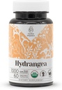 Hydrangea USDA Organic 60 Capsules | Circulatory System, High-Potency Natural Supplement | Certified Organic Vegetarian Capsules and Organic Hydrangea (Hydrangea arborescens) Dried Root (60 Capsules)