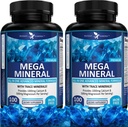 Potent Garden 2-Pack Mega Mineral Supplement Complete Mineral Complex with Calcium Magnesium Zinc Potassium Boron Selenium Chromium & 72 Trace Minerals Iron Free Calcium Supplement -200 Pills