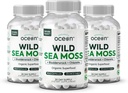 Organics Ocean Wild Sea Moss Capsules - 100% Organic Irish Sea Moss with Organic Chlorella, Bladderwrack and Vitamin D for Energy, Lung Health and Thyroid Support for Women and Men - 3 Bottles