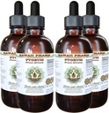 African Cherry Pygeum Extract liquide sans alcool, African Cherry Pygeum (Prunus Africana) Bark Glycerite Natural Herbal Supplément, Hawaii Pharm, USA 4x4 oz