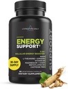 Livingood Daily Energy Support, 11-in-1 Supplement with Magnesium, Vitamin B6, B12, Amino Acids, L Carnitine, CoQ10, Ginseng & L Theanine, Supports Natural Energy for Men & Women, Vegan, 60 Capsules