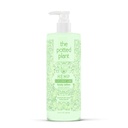 Coconut Lime Body Lotion Hemp Seed Oil THC-Free Vegetable Collagen Vitamin E 16.9 oz