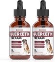 Quercetin pour les chiens Quercetin pour les chiens Quercetin pour les chiens Allergies Quercetin pour les chiens Soutien Quercetin pour les allergies Quercetin pour les chiens