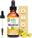 Choix botanique Extrait liquide de feuille de Mullein, sans alcool, sans gluten, soutien respiratoire traditionnel 1 Fl. Oz.