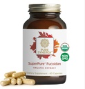 Extrait de Fucoidan SuperPure SYNERGY sans gluten de l'algue brune biologique pour la santé immunitaire, la digestion et le vieillissement en santé (60 capsules)