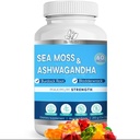 BIO VITALICA Sea Moss Ashwagandha Gummies - Suppléments biologiques irlandais Seamoss & Ashwagandha Root pour soutenir l'énergie et l'immunité pour les hommes et les femmes, 60 Gummies Vegan